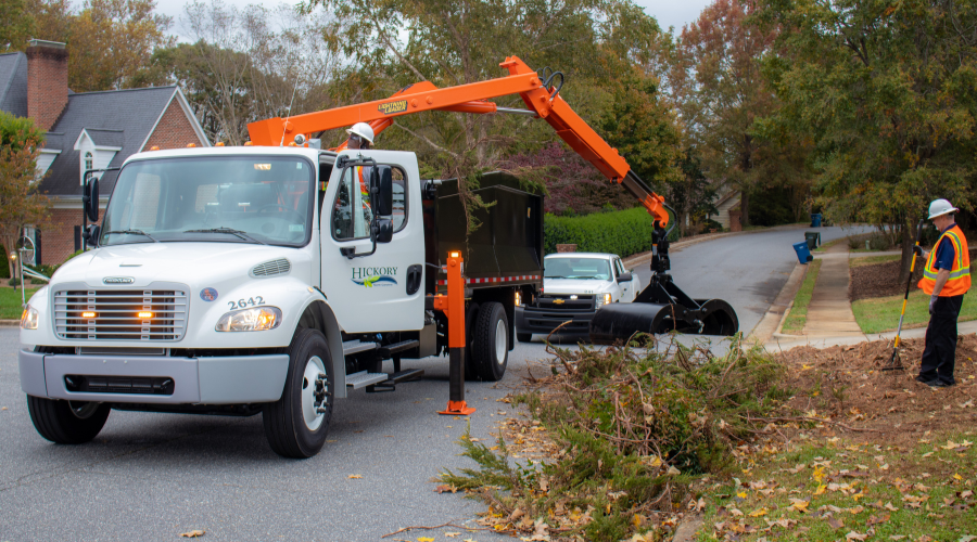 yard waste removal