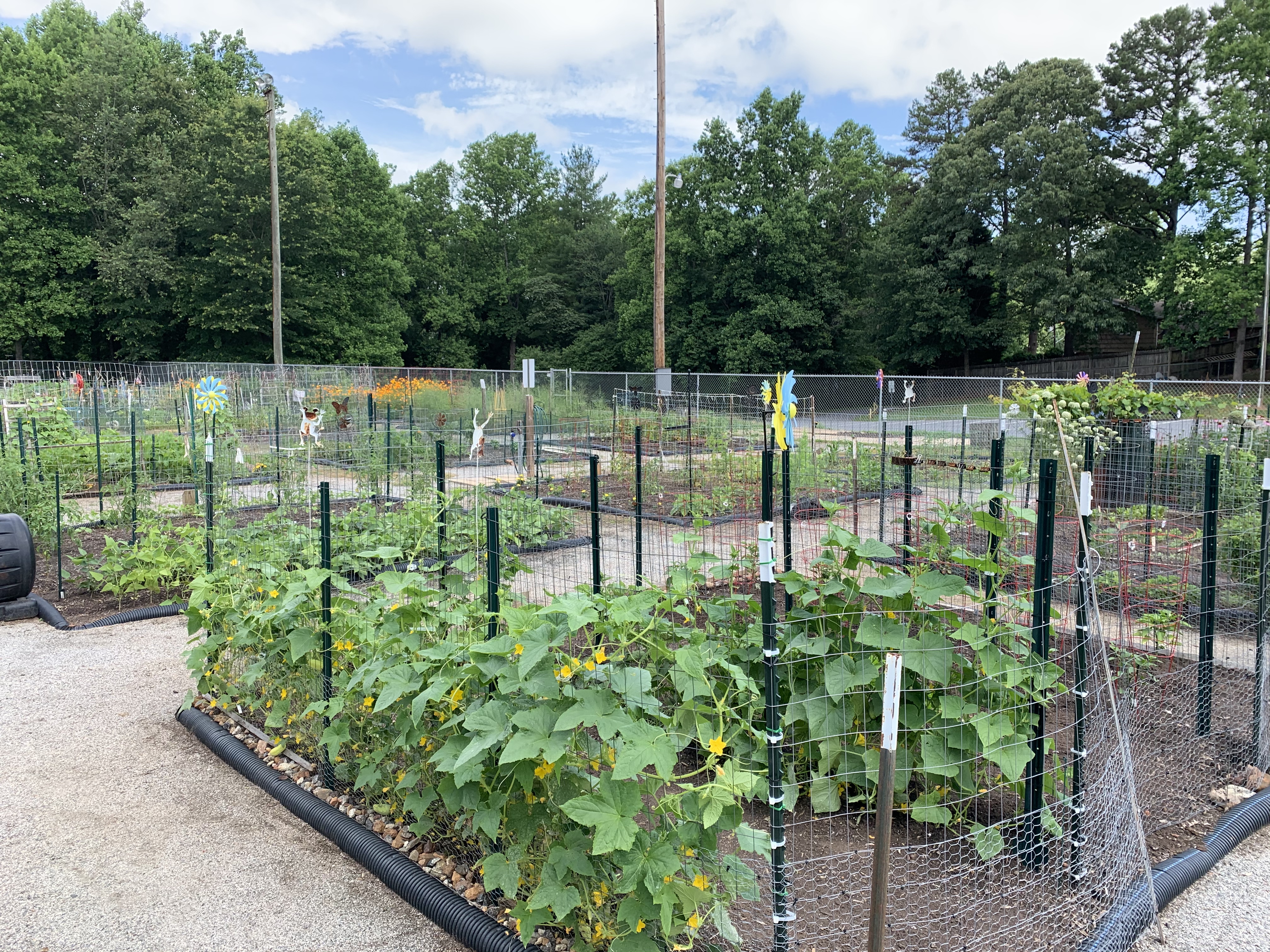 Community Garden