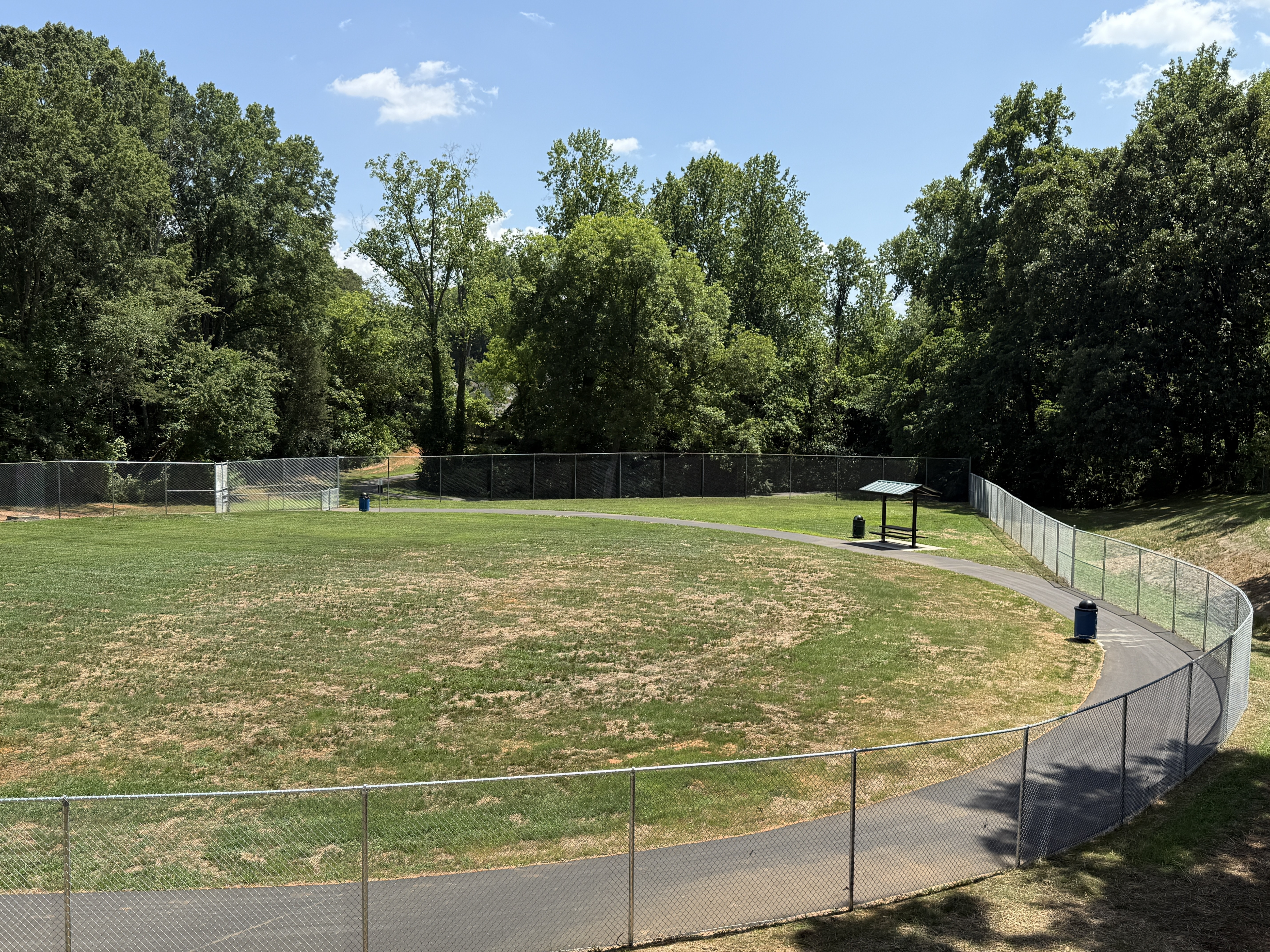 large dog area