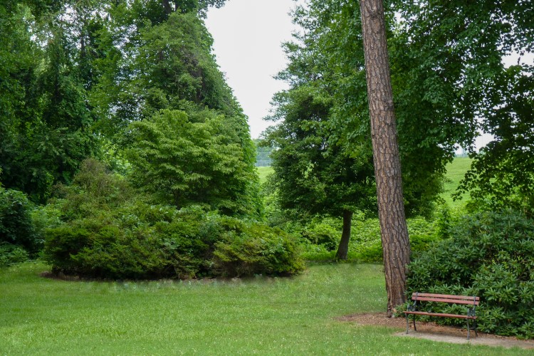 Park Bench