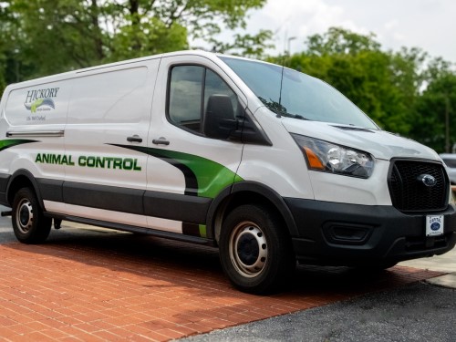 Animal Control and Records