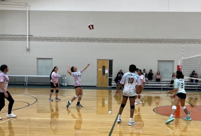 Youth volleyball team
