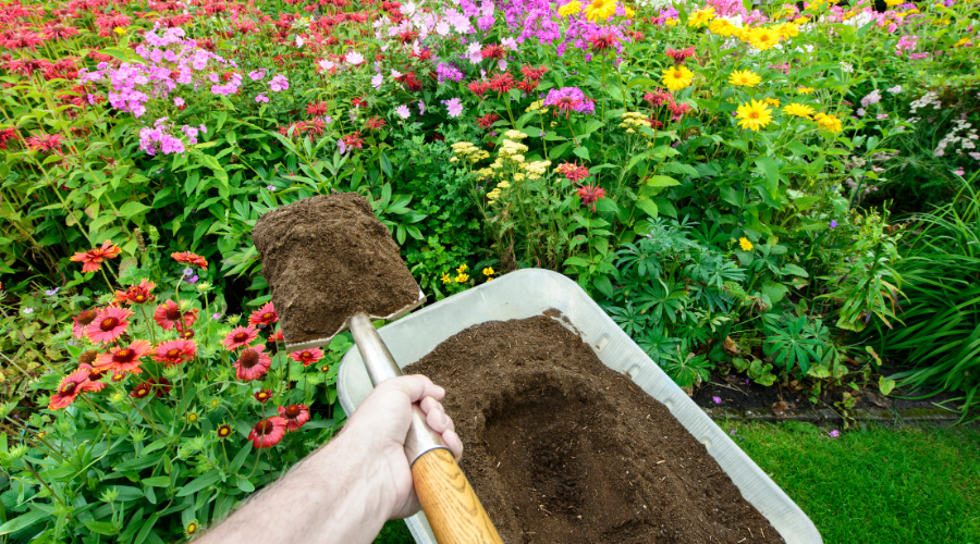 A photo showing flowers, a shovel filled with leaf compost, and a wheelbarrow with leaf compost
