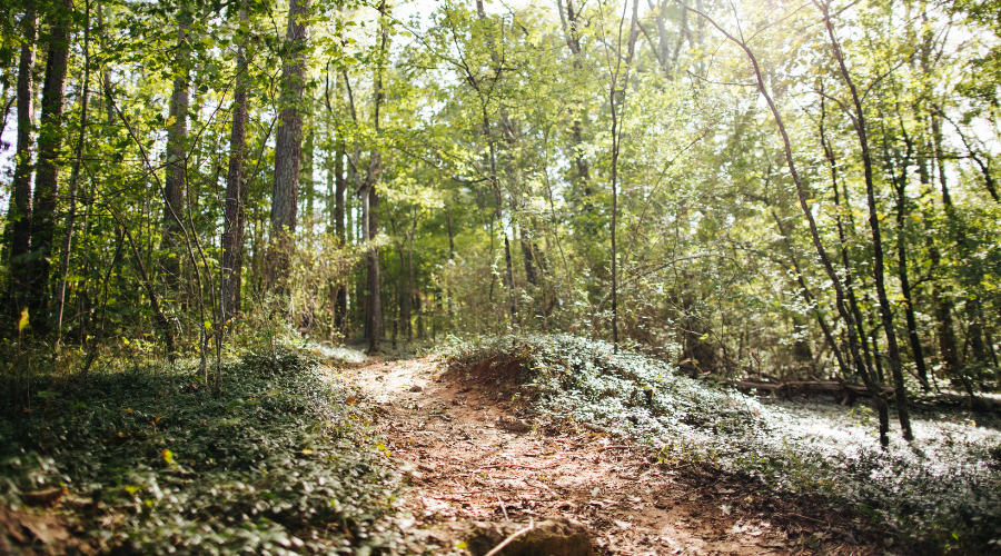 Trails